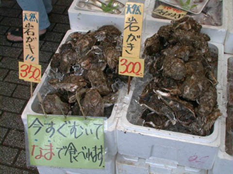 牡蠣1