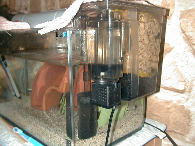 IMG1