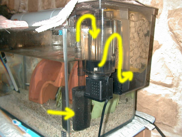 IMG2