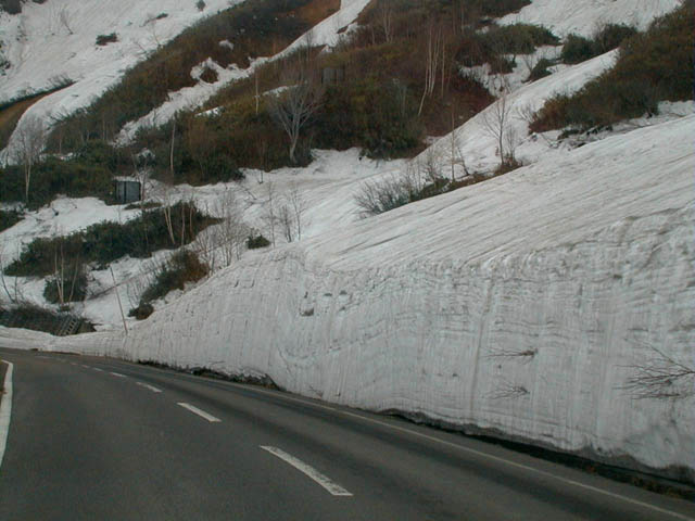 残雪