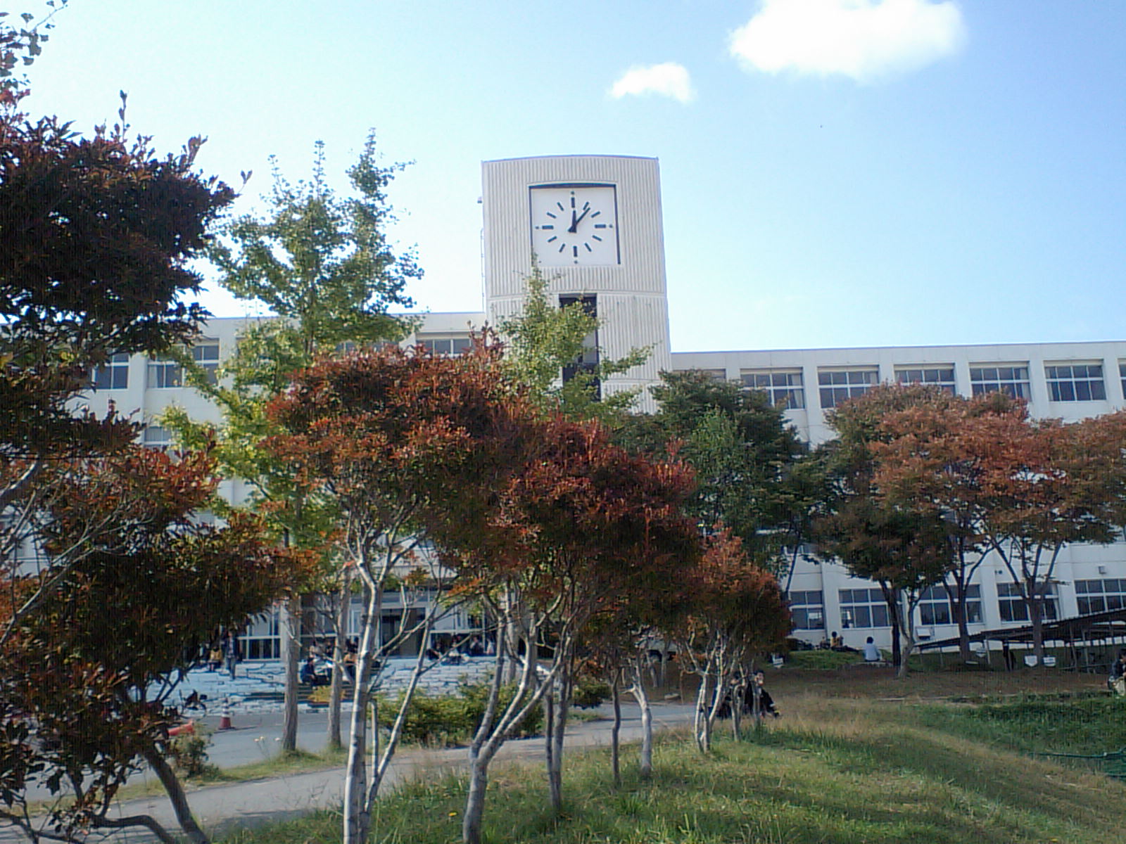 附高