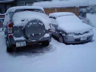 雪1