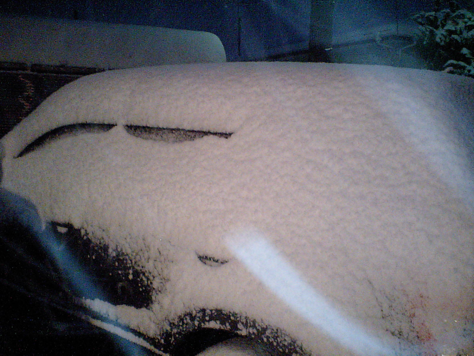 積雪