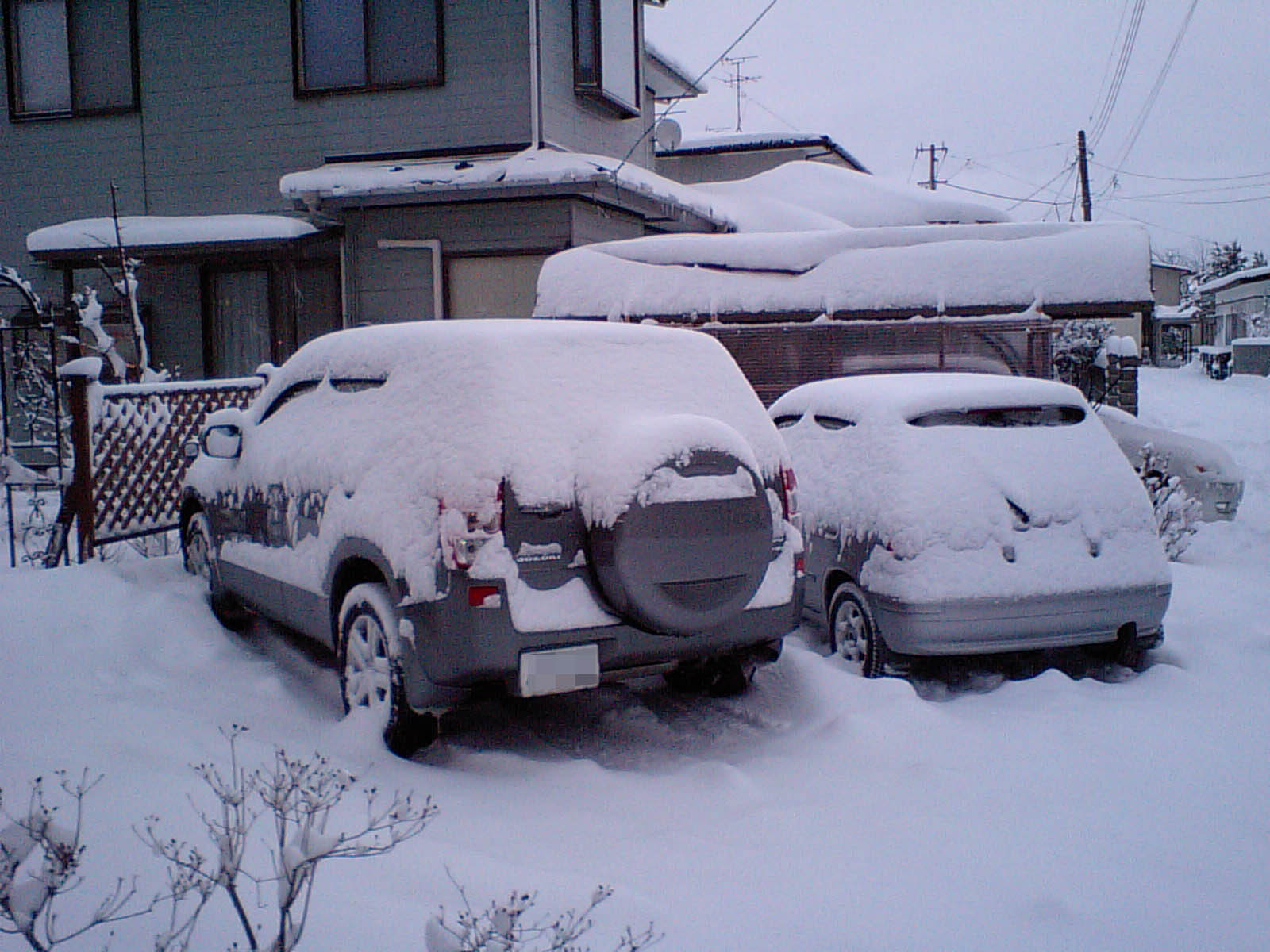 積雪