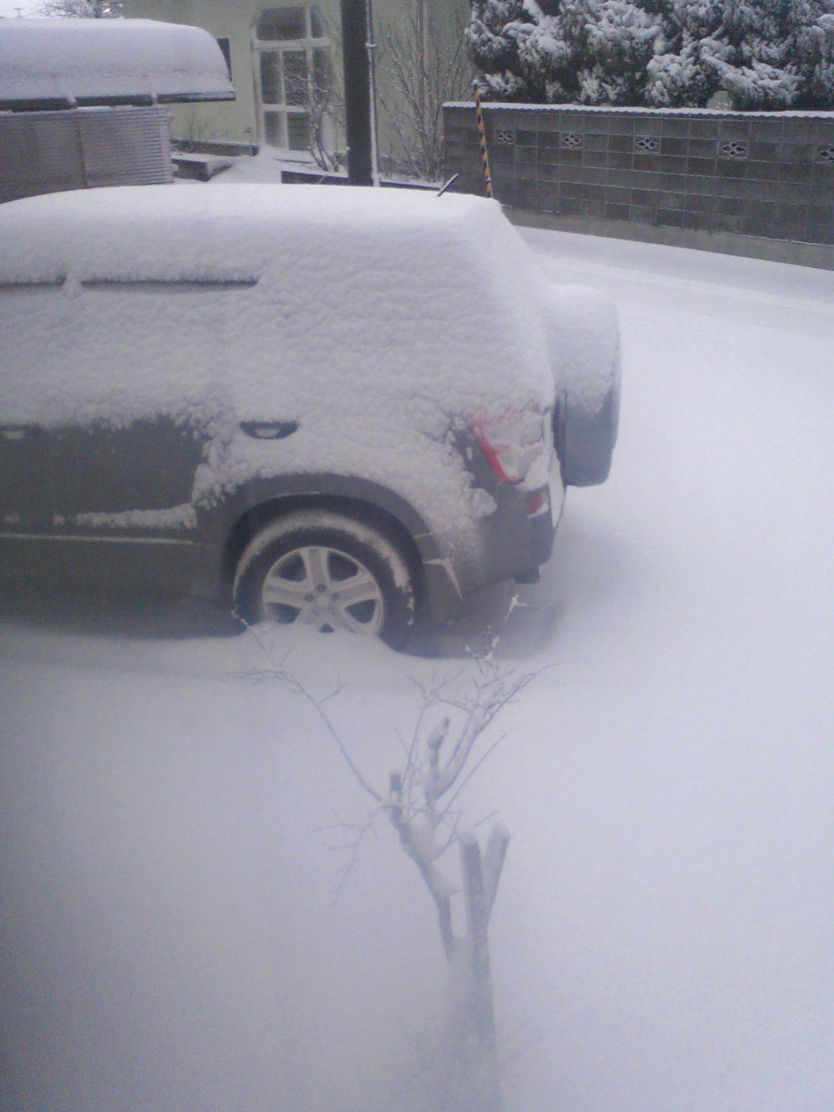 新雪2