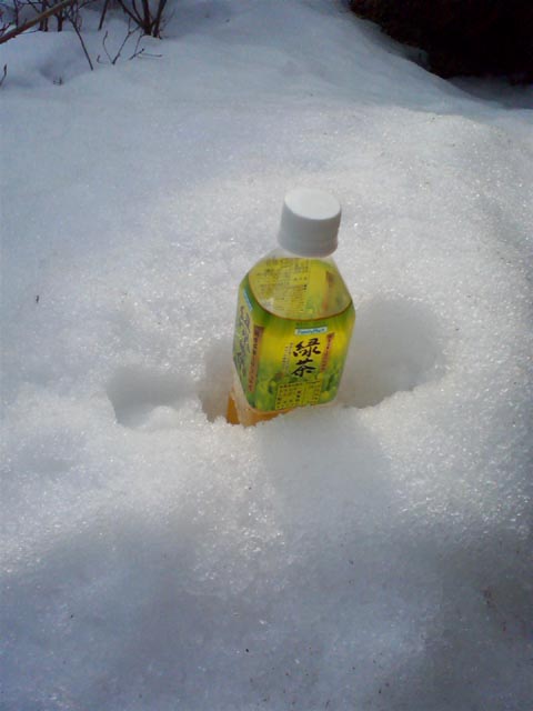 お茶