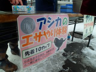 エサやり1