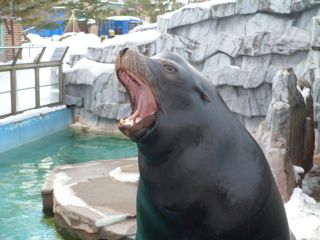 エサやり3