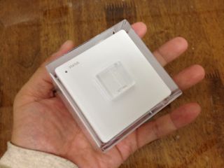 本体