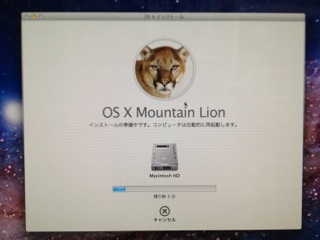 Mountain Lion