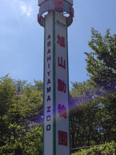 旭山動物園