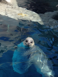 水族館