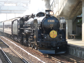 C61