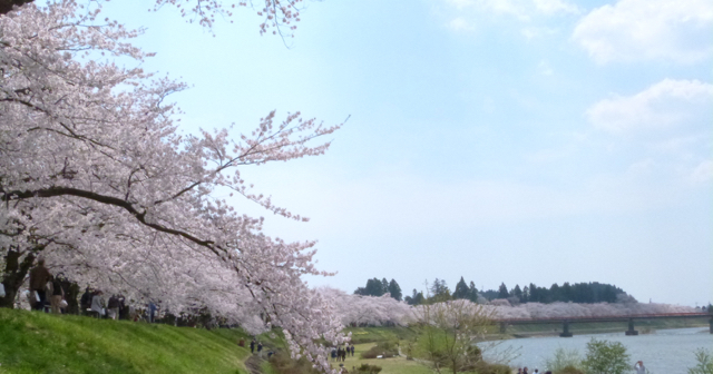 桧木内川
