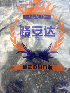 純正の出口装