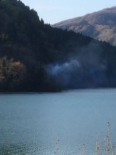 山火事?