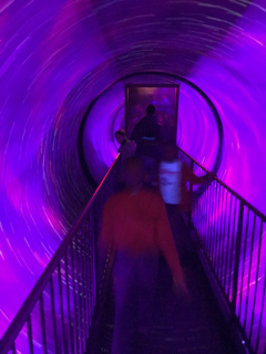 Ripley’s Believe It or Not! 博物館