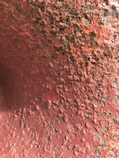 肌