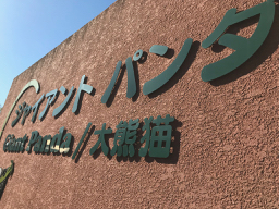 パンダ