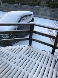 雪