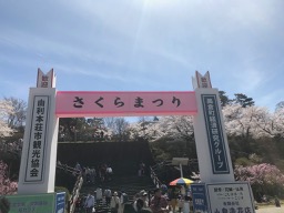 花見