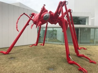 蟻