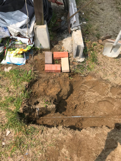 穴掘り