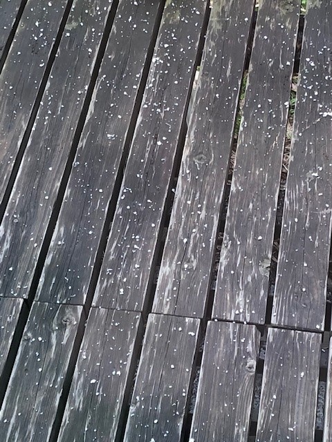 降雪