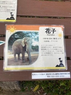 花子の説明